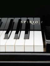 Steinway & Sons Minneapolis-St. Paul Skyline Grand Piano