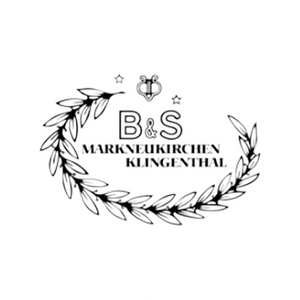 B & S logo