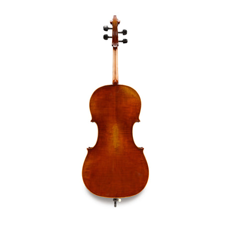 The backside of the Eastman 701 Rudoulf Doetsch Cello Guarneri