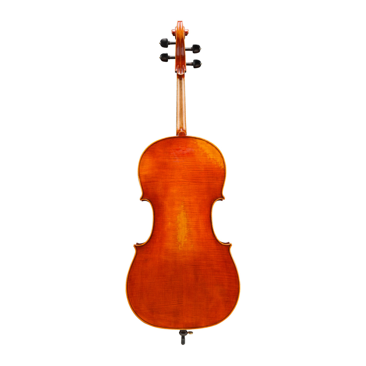 The backside of the Eastman 703 Frederich Wyss Cello