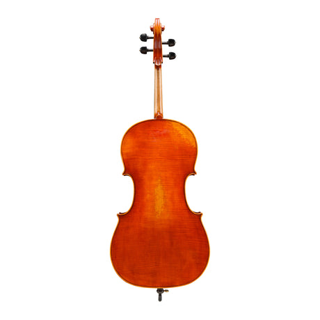 The backside of the Eastman 703 Frederich Wyss Cello