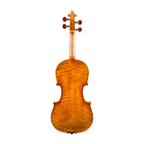 The backside of the Eastman 928 Raul Emiliani Violin