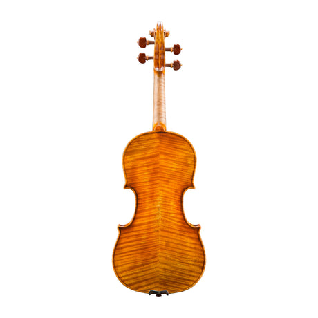 The backside of the Eastman 928 Raul Emiliani Violin