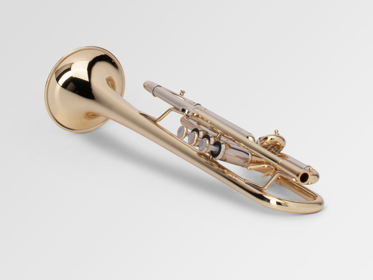 Adams A2 Bb Trumpet - lacquered, laying down, valves forwards