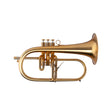 Adams F3 Bb Flugelhorn