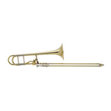 Bach 42A Large Bore Tenor Trombone - a side view