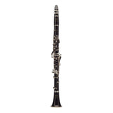 Buffet Crampon Grenadilla R13 Bb Clarinet - Silver Keys