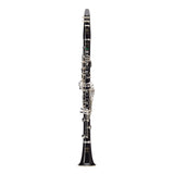 Buffet Crampon Festival Greenline Bb Clarinet - Silver