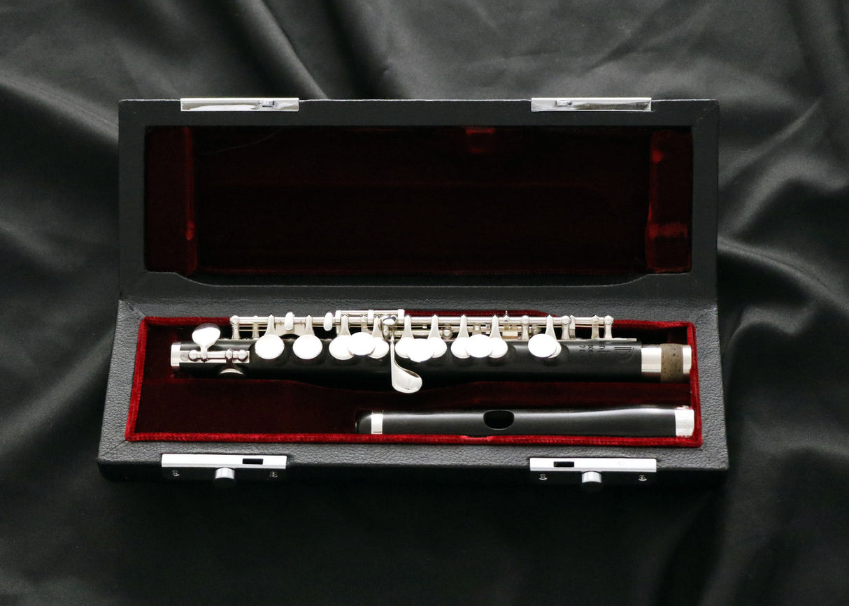 Burkart Professional Piccolo - in its case