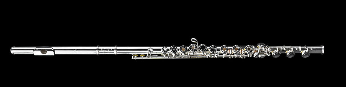 Di Zhao 401 Flute with Offset G