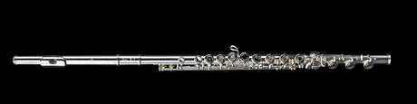 Di Zhao 401 Flute with Offset G