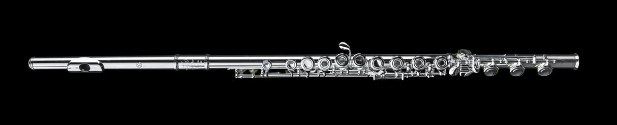 Di Zhao 601 Flute with Offset G & Split E Mechanism