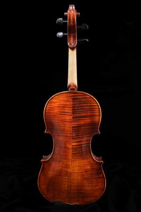 The backside of Eastman 315 Viola 