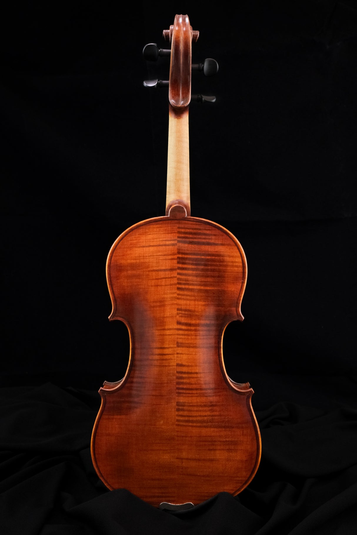 The backside of Eastman 315 Violin - beautiful grain patterns in the wood are wonderfully highlighted 