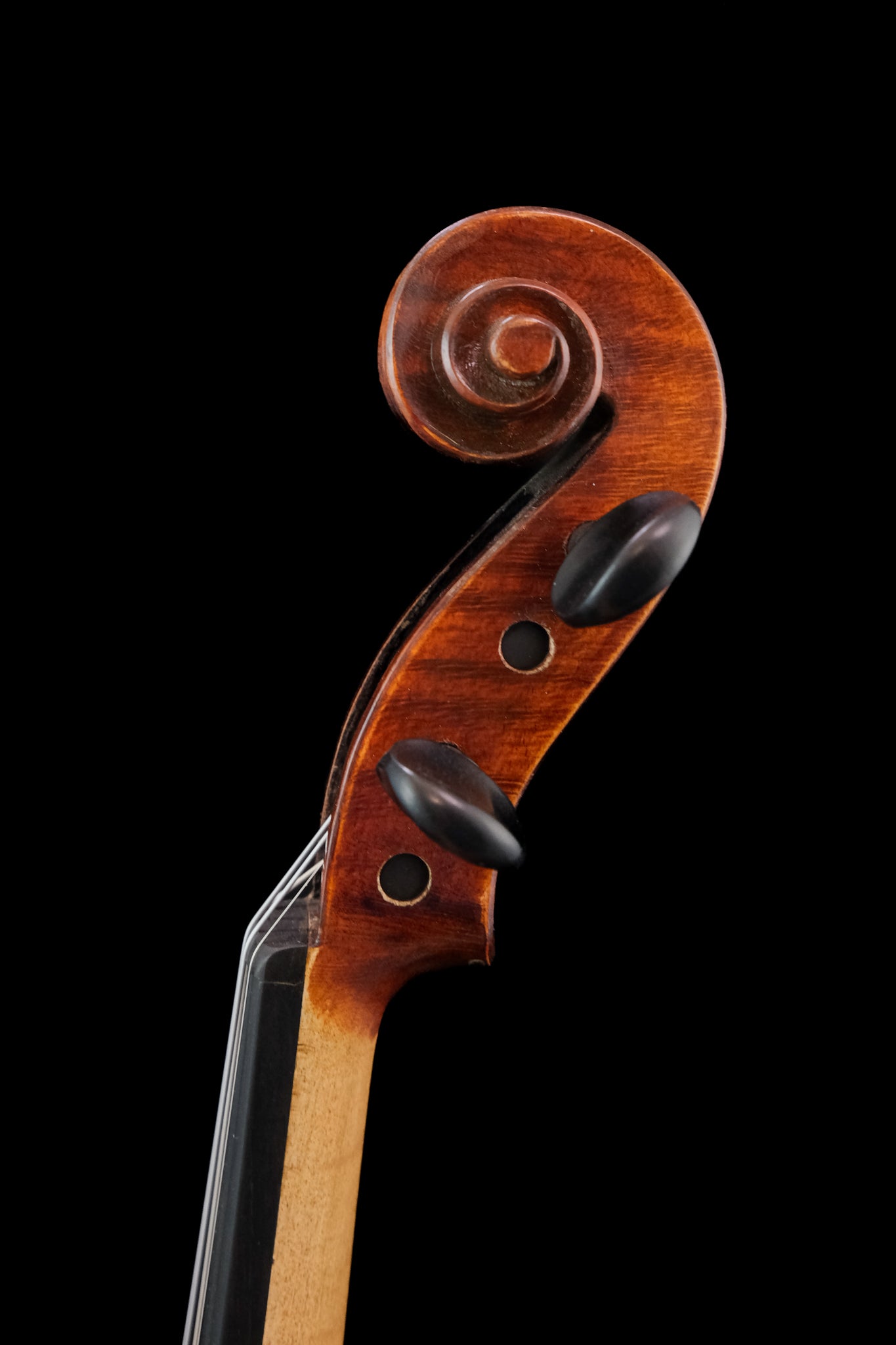 Eastman 315 Violin