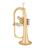 Eastman 512G Bb Flugelhorn Clear Lacquer