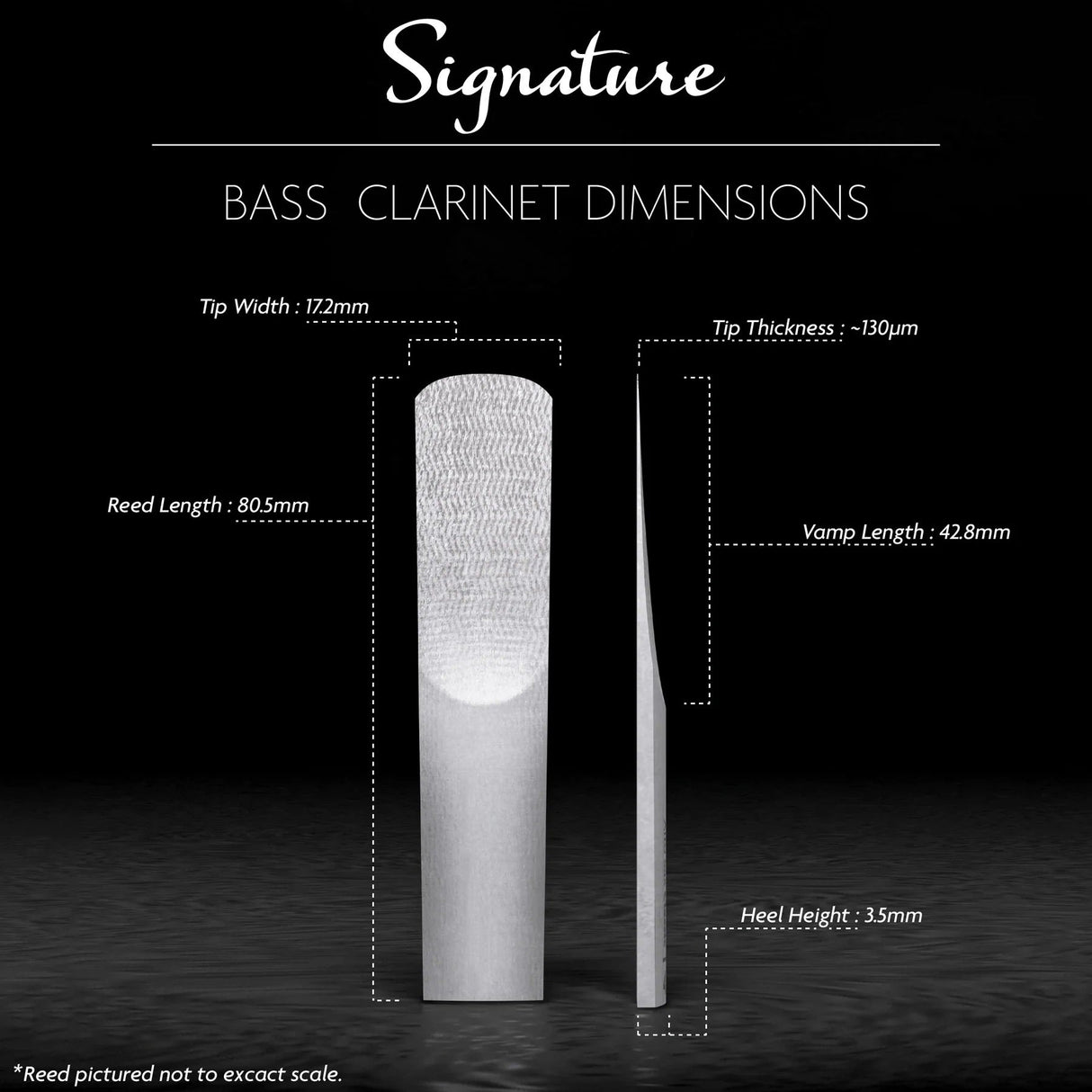 A diagram of the Legere European Cut synthetic bass clarinet reed with its dimensions indicated