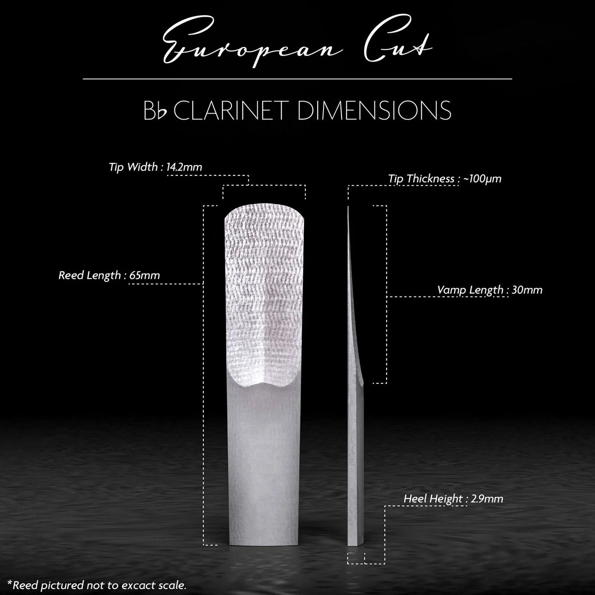 A diagram of the Legere European Cut synthetic Bb Clarinet reed with its dimensions indicated