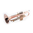 Lotus Solo Max Bb Trumpet