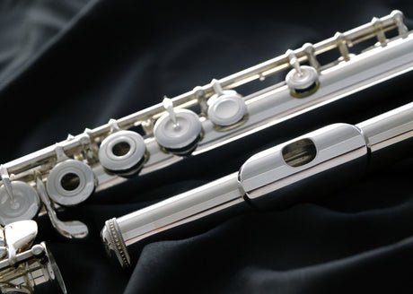 Muramatsu DS Flute - lip plate and body