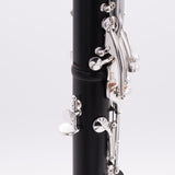 Royal Global Max Bb Clarinet - close up of thumb rest and middle section of clarinet