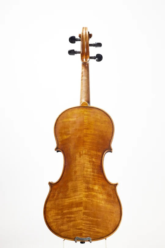 Salvatore Callegari Violin - Back