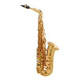 Selmer 82SIG Signature Alto Saxophone in Matte