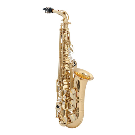 Selmer SAS711 Alto Saxophone