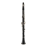 Selmer Paris Presence Bb Clarinet - 17 keys- seen from behind