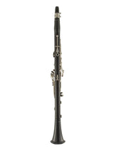 Selmer Paris Privilege Clarinet - upright facing backwards