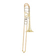 S.E. Shires TBQAlessi Large Bore Tenor Trombone